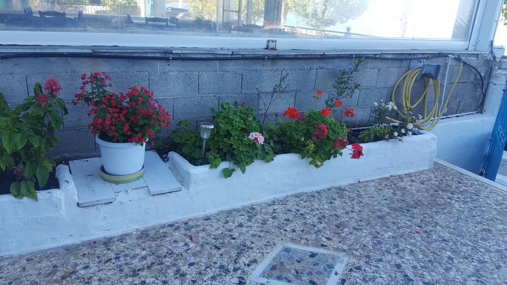 Antony'S Apartment Sea View Τυρός Εξωτερικό φωτογραφία